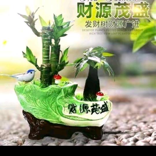 平安是福👏👏