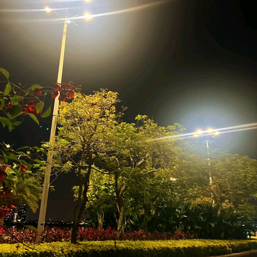 骑着单车上高速