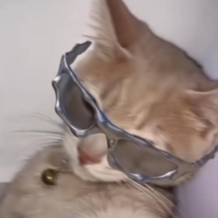 cc