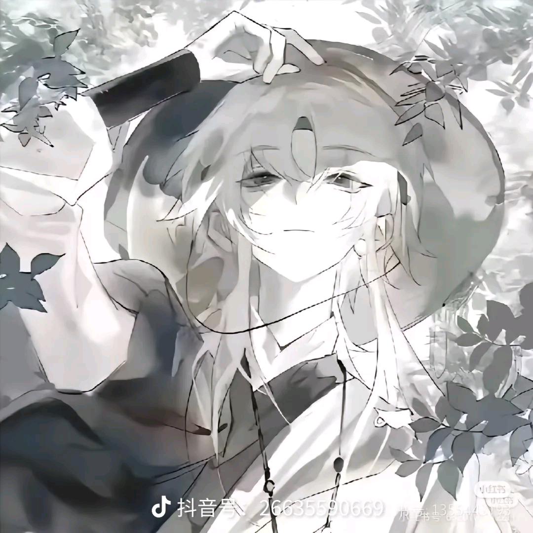 王者荣耀魅蓝