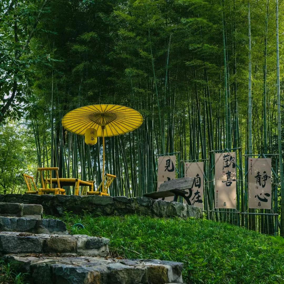 我是🐼老师呀