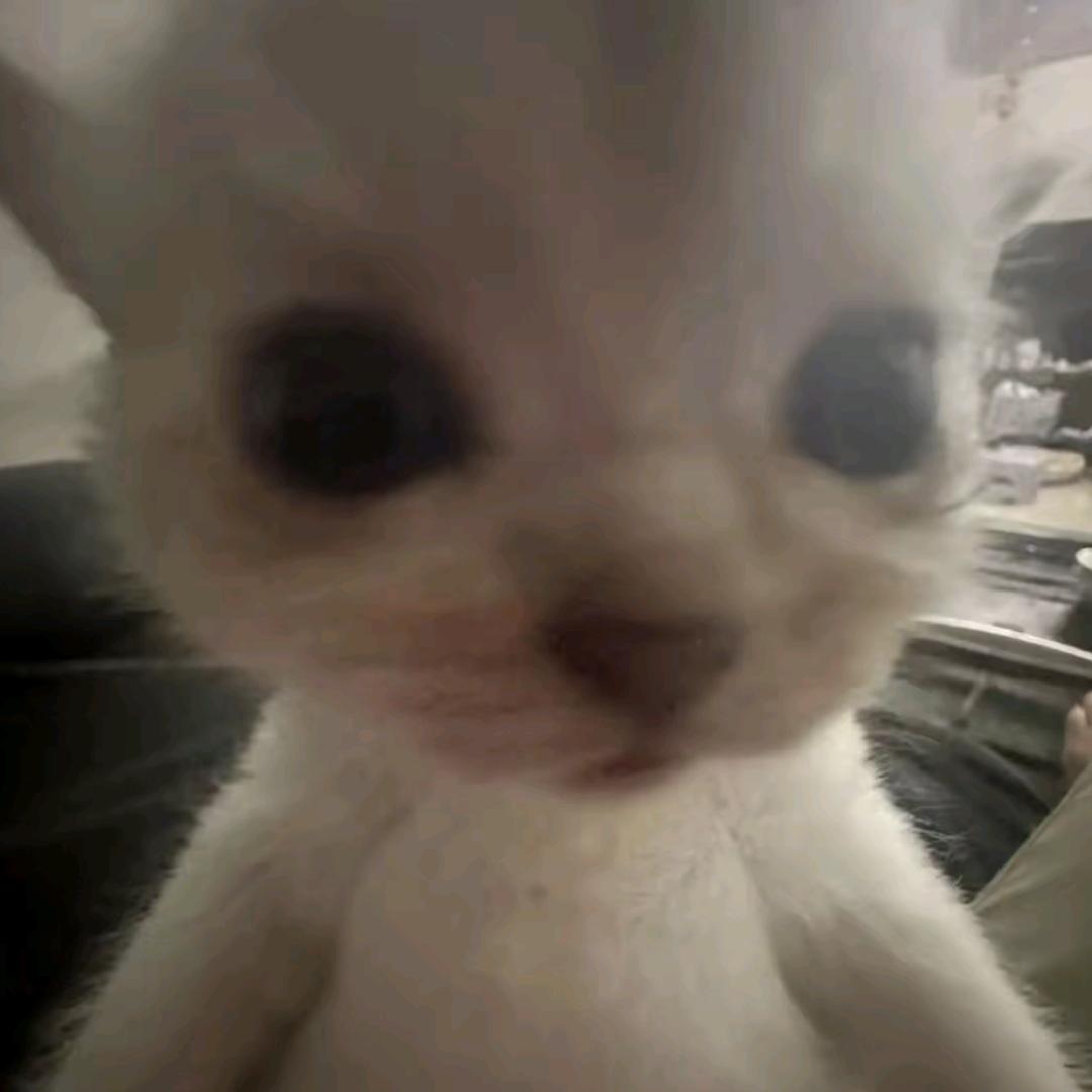 按时吃饭🍜            ╲