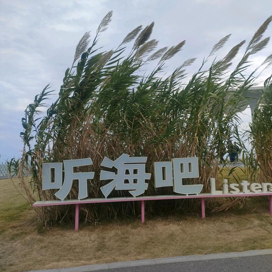 尚美自磨面粉面条济宁永丰街小学