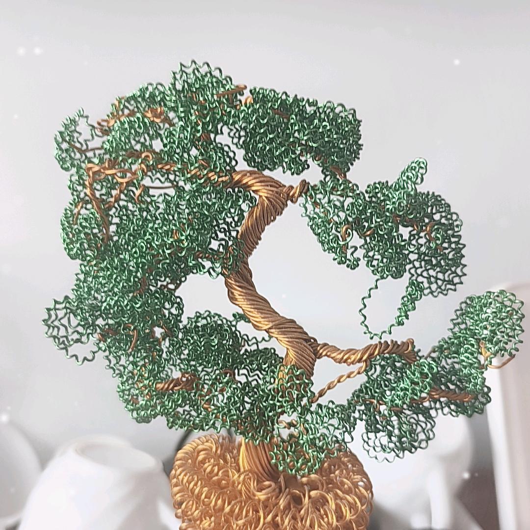 龙🐉