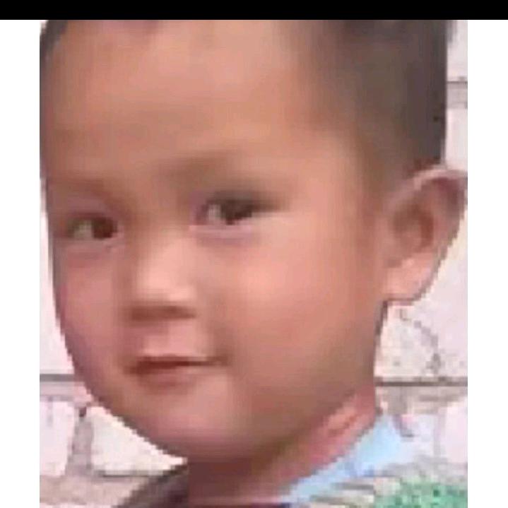 梦想盛真