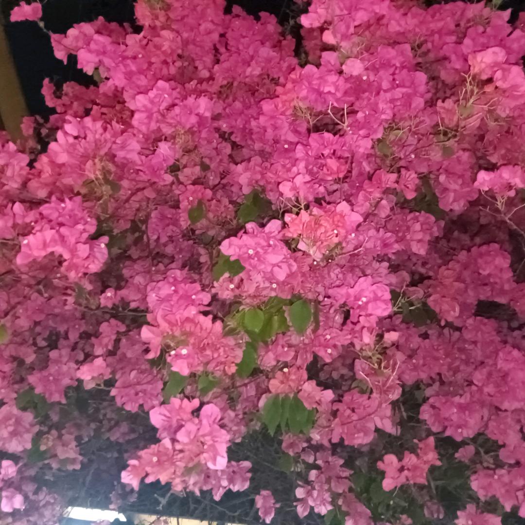 ঞ🌻࿐ᩚ: 好ᨶ႒ᩚ运ᥫᩣ໌້ᮨ加满✨