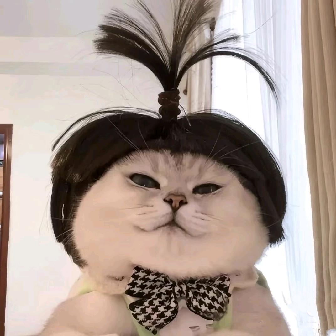 你不要哇哇叫