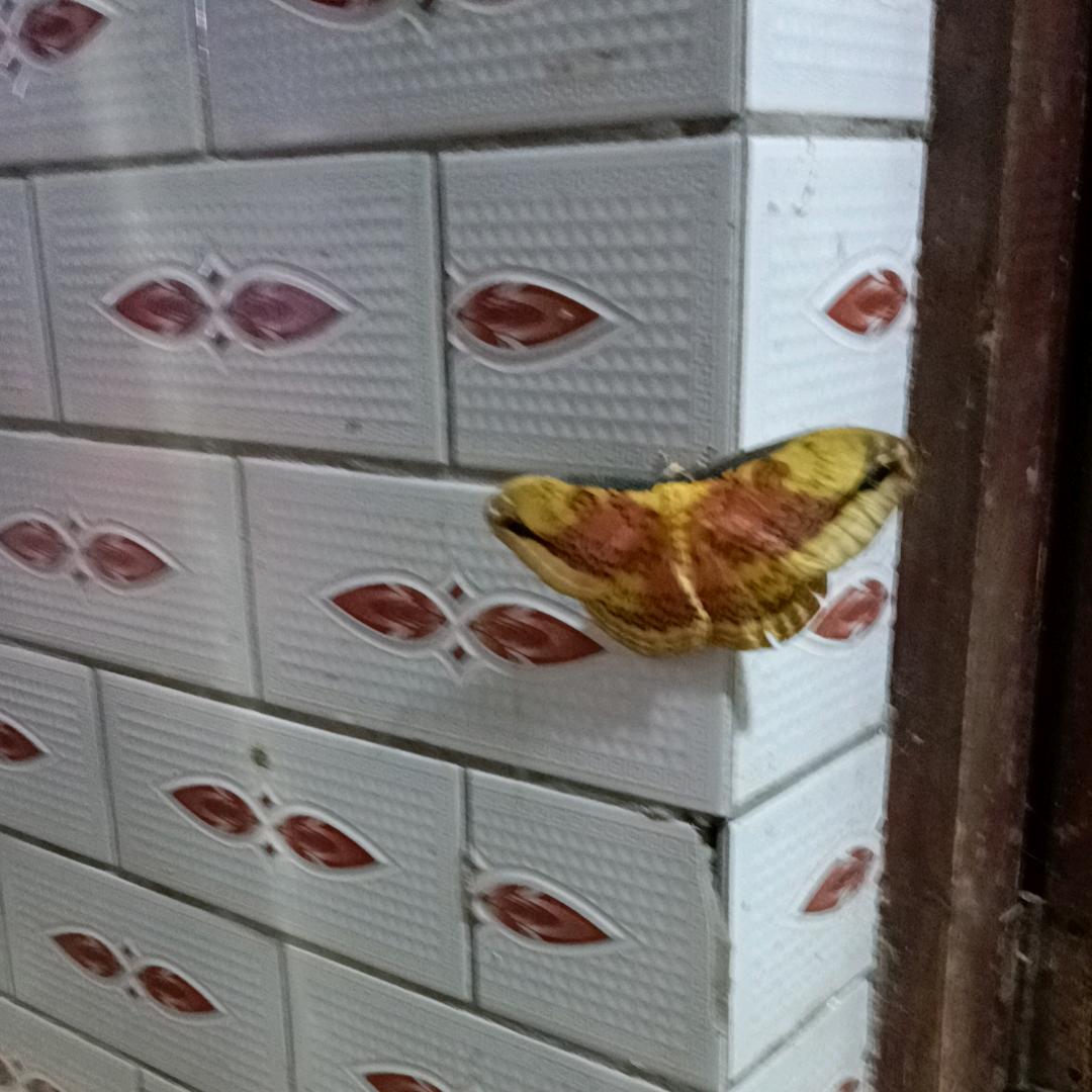 觉得累了就休息