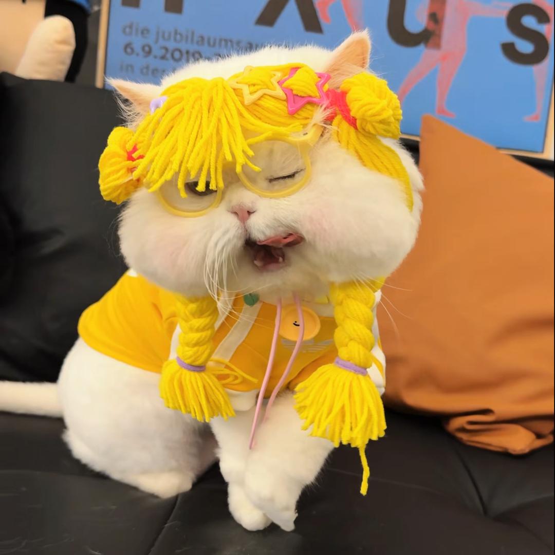 妍崽🍂