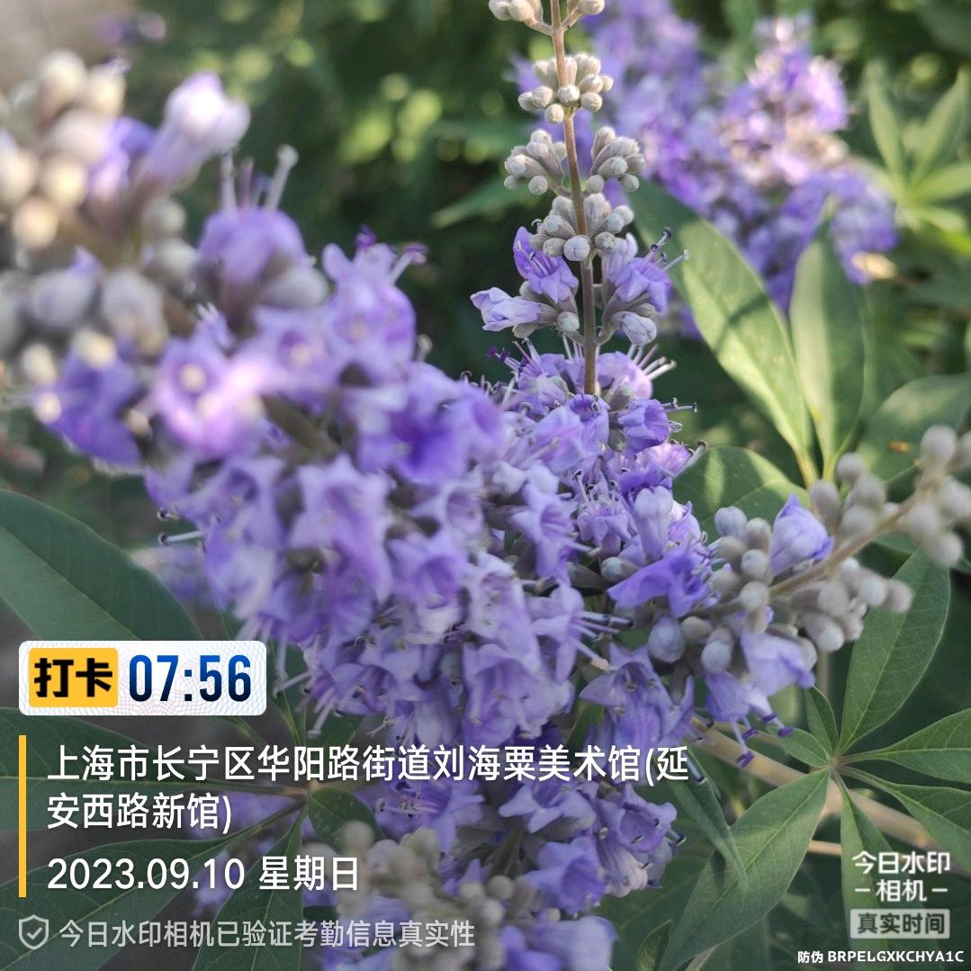 王安军