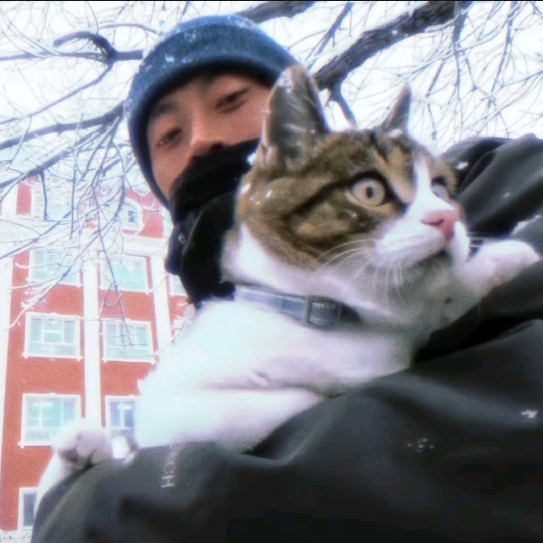 兜里没有米先生