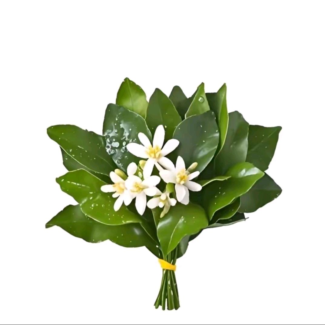 小潞想吃火锅