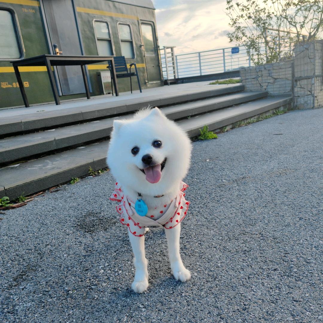 天使替我爱你