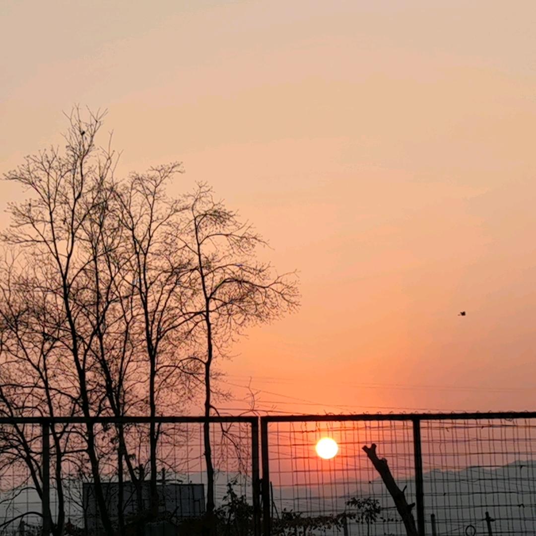 C橙橙🍊