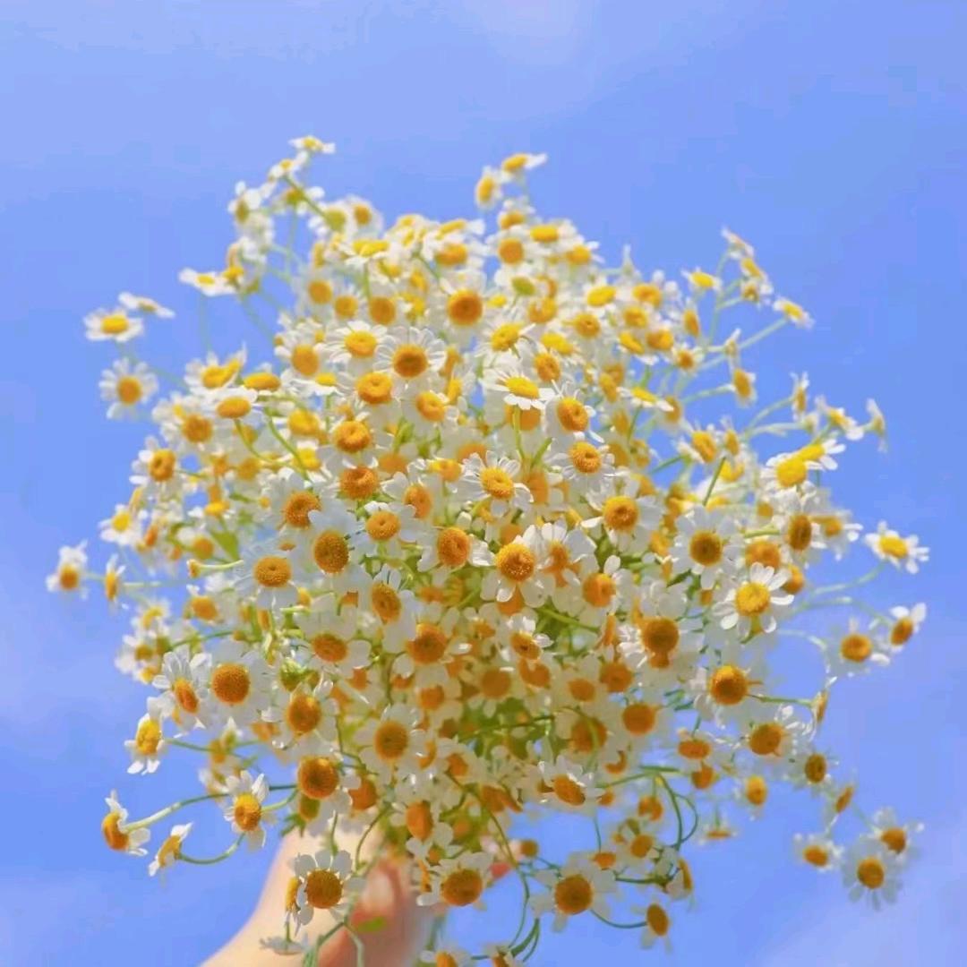 旭日阳光