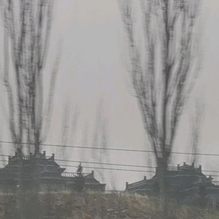 草原狼