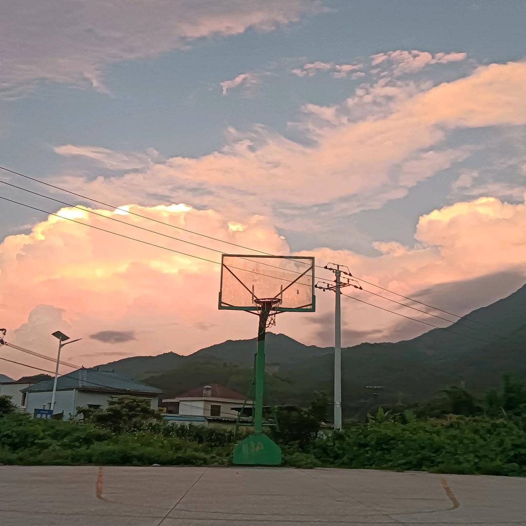 11号