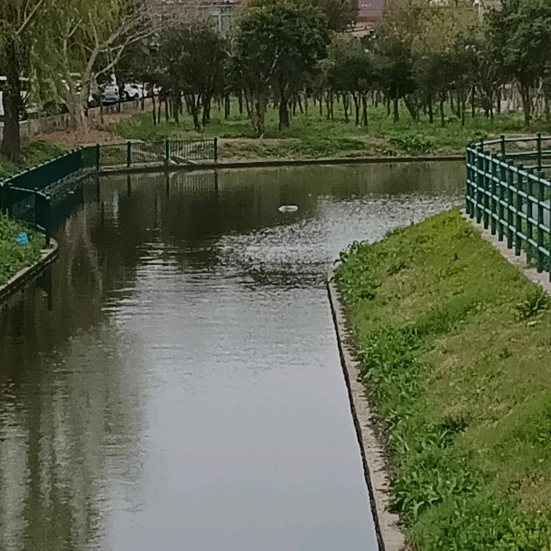 老头在漂流