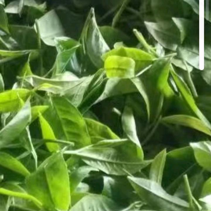 80后的苦命人，双江滇濮小区古镇自然村