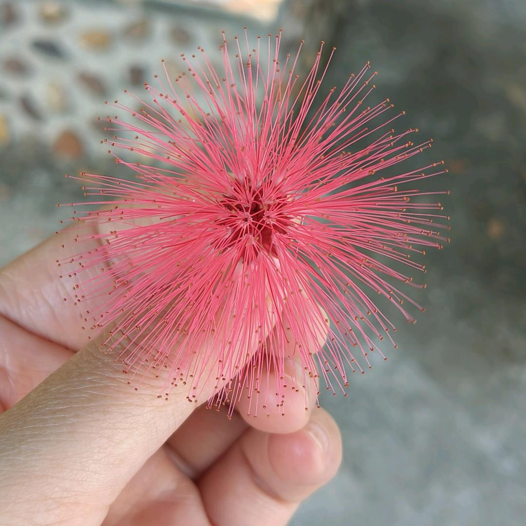 @ 心中有你 ᰔᩚ✨✨