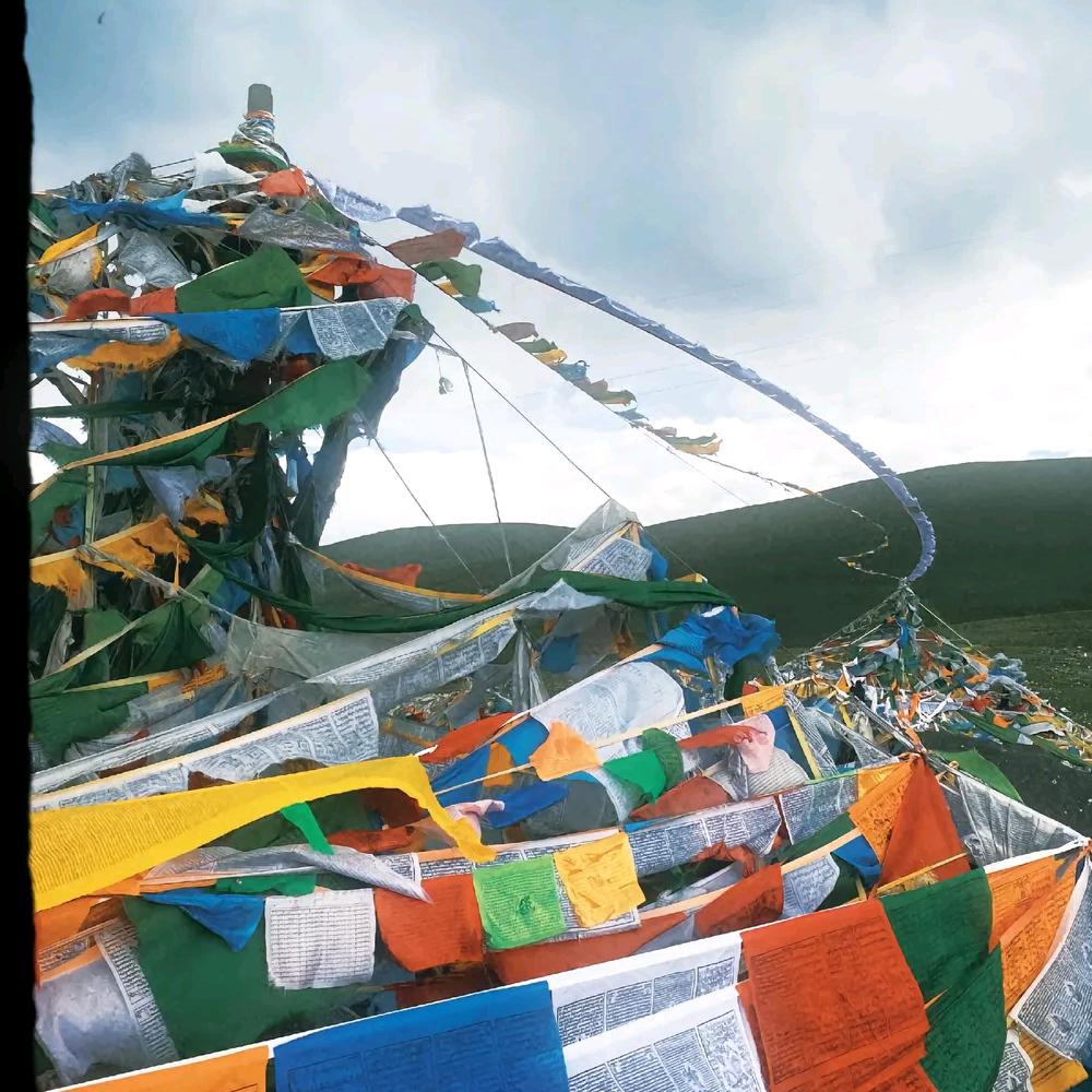 🦚多扎꧔ꦿ້໌ᮨ᭄এ