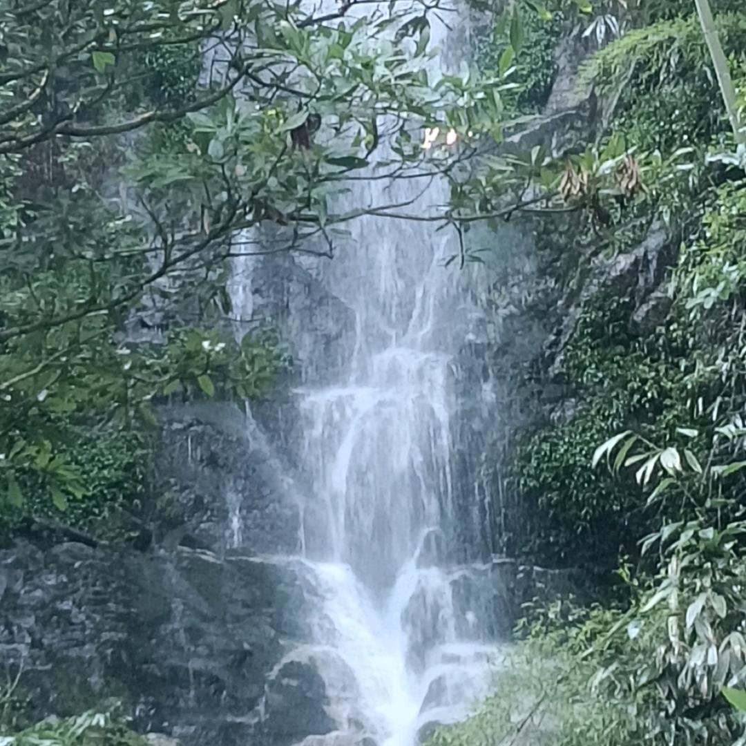 鑫奇厨卫，橱柜强远店