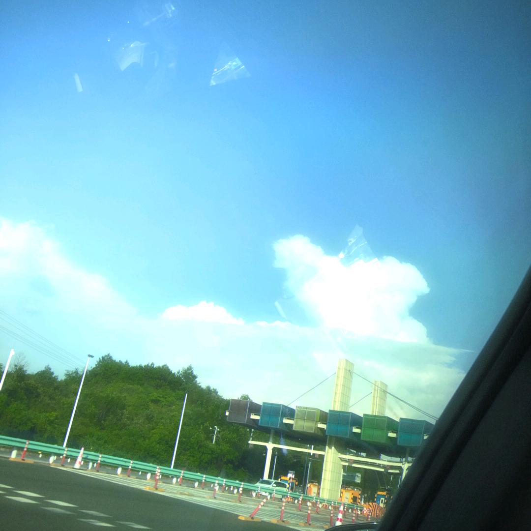 🌸🌹天空无情