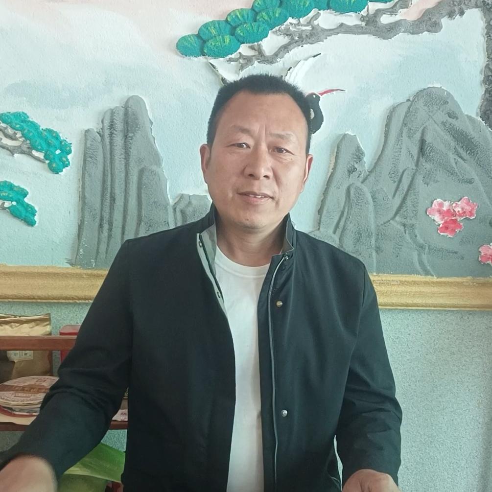 河南豫哥