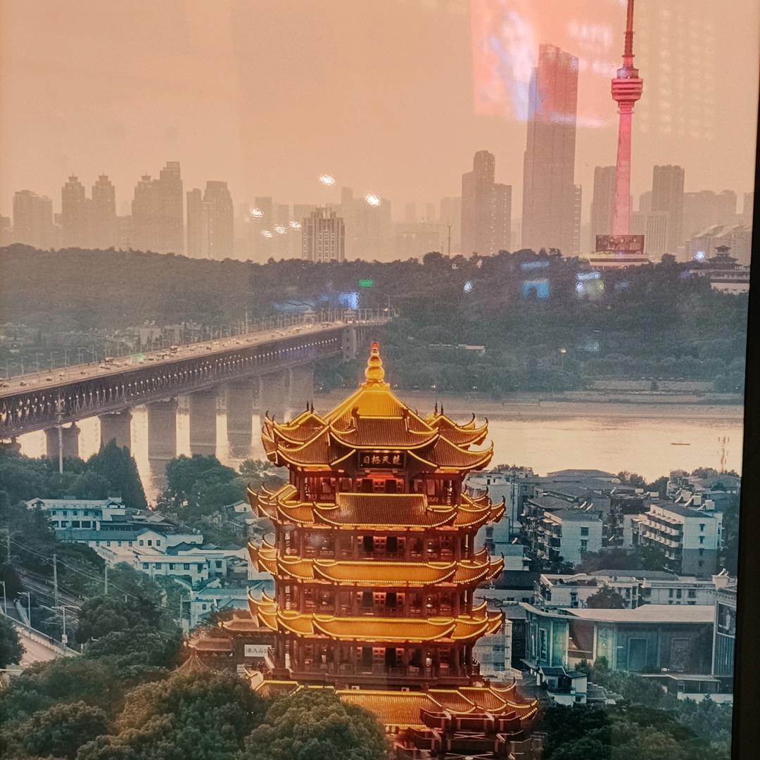 观望变化