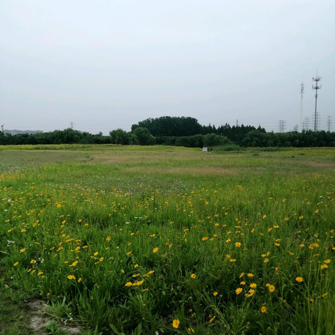 蟹全鲜食品加工厂