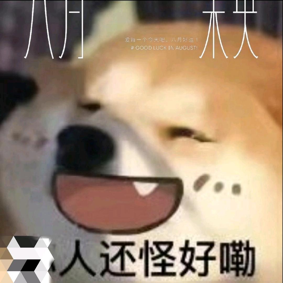 乐享生活@头像