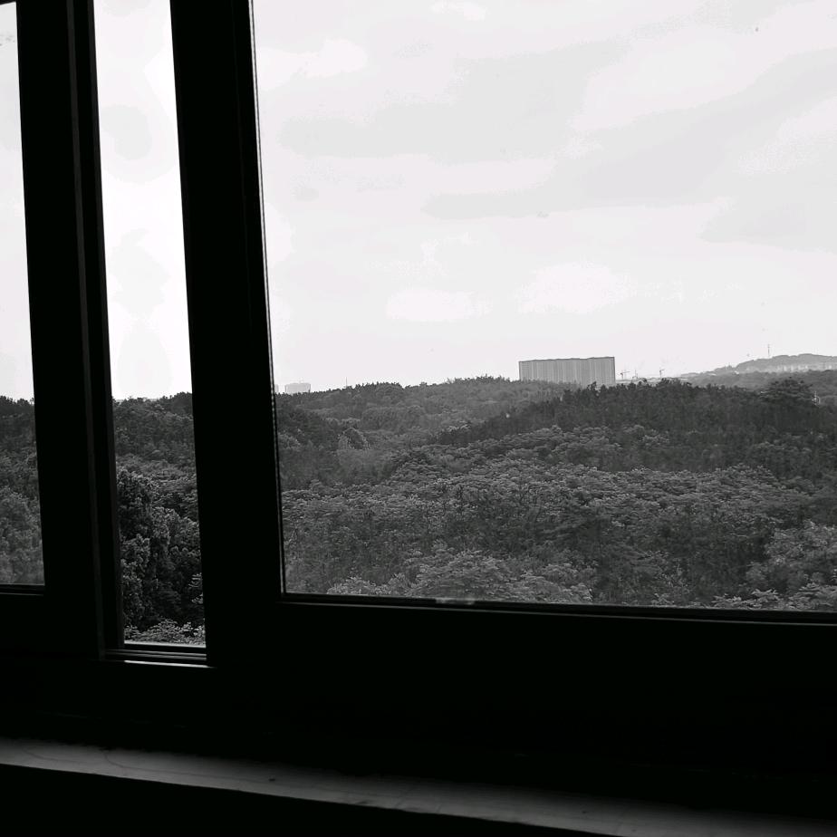 秋殁