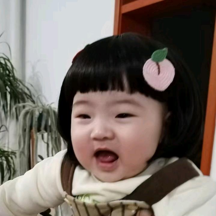 山东寿光专业育苗