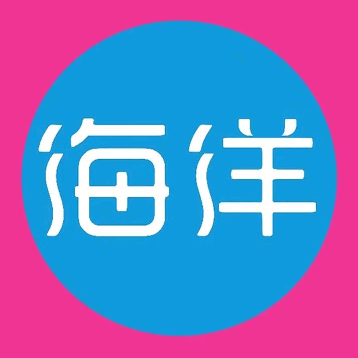 比亚迪海洋｜大理精晟名迪