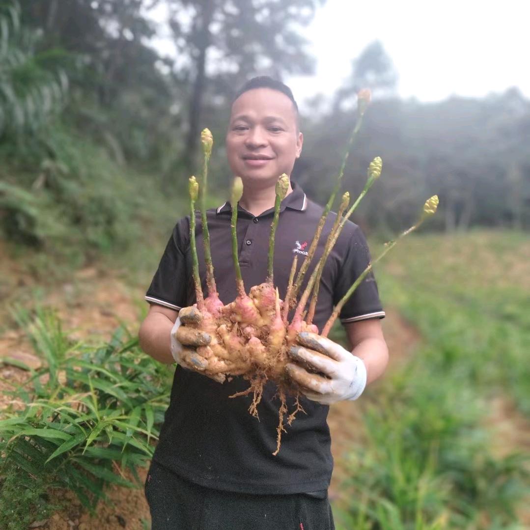 源北农产-张国意