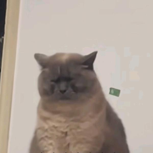 欧尼酱