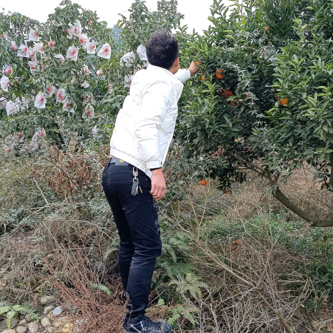 努力奋斗，专业内外架