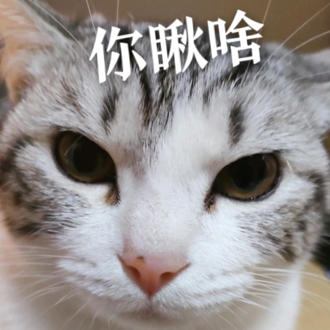 彭