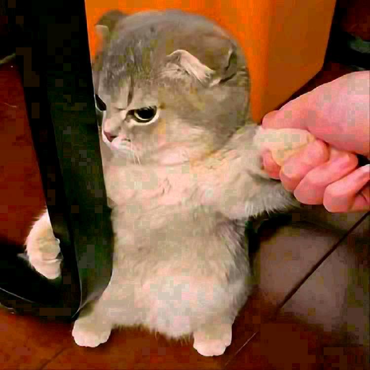 8804