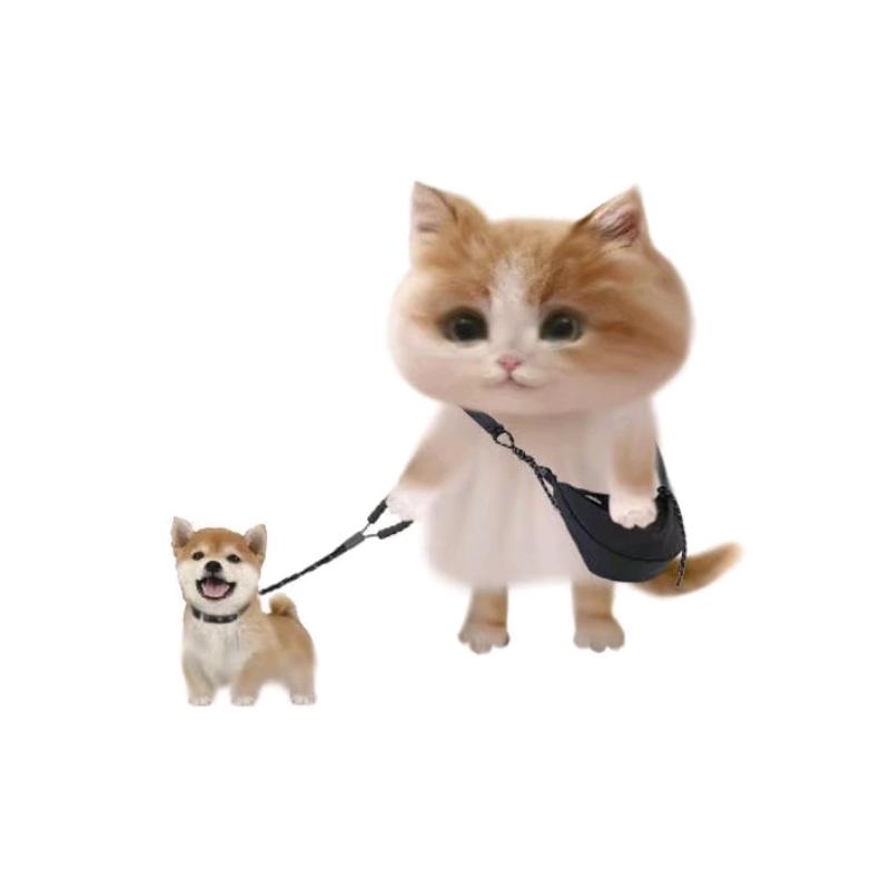 乌鸦不说话