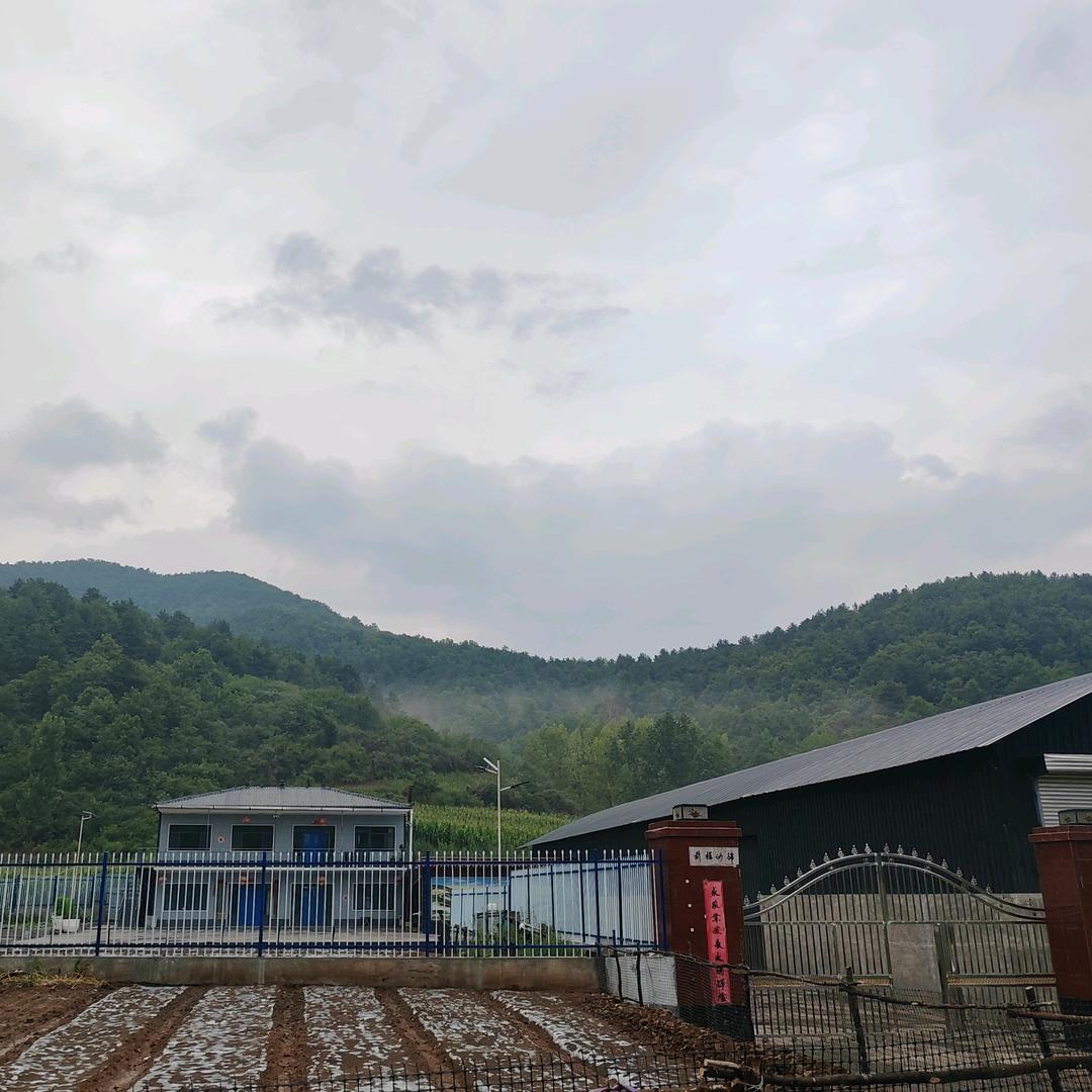 郭威（山西古县博森盛家庭农场）