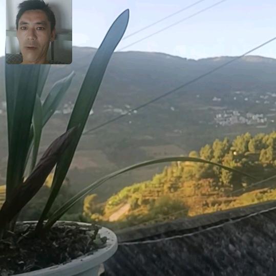 余生只搞钱