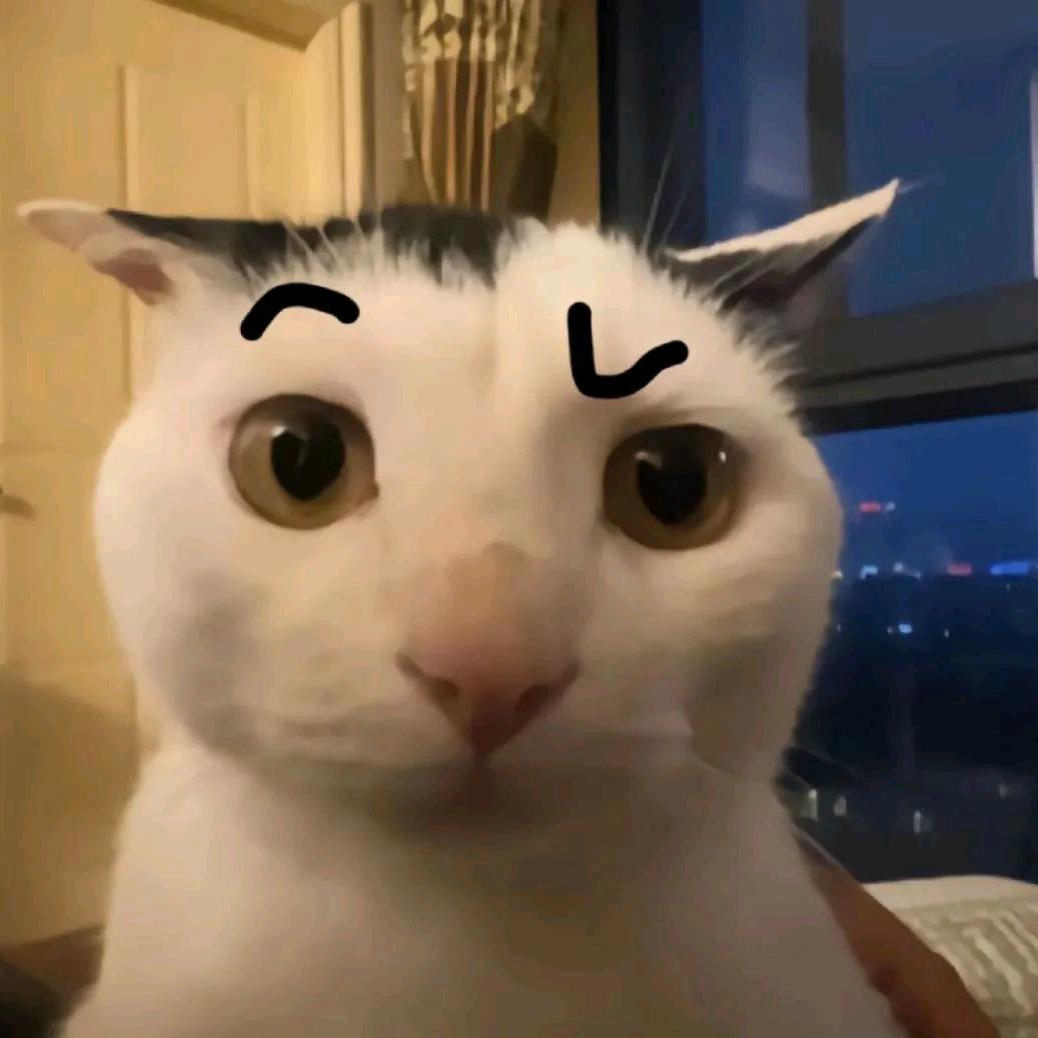 iiip
