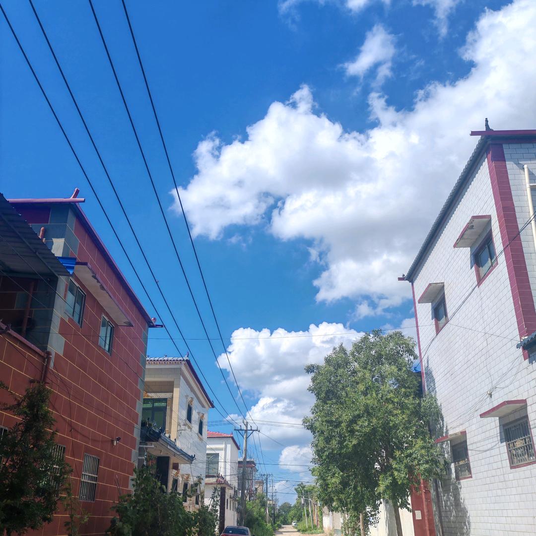 河南高考周老师