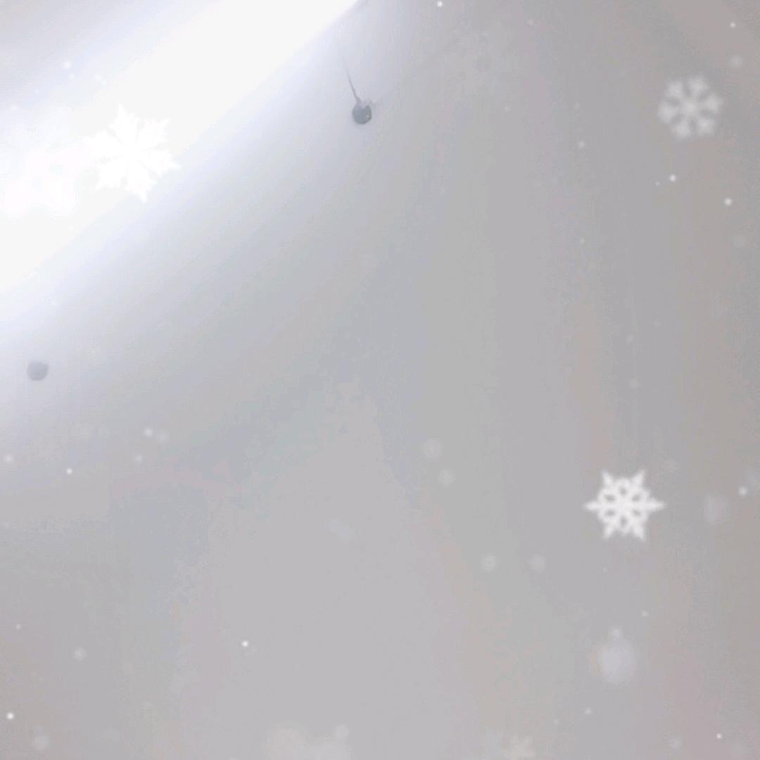 用户8696583652077