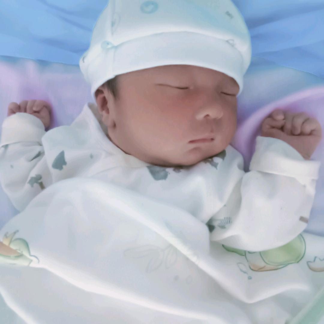 你家的小白菜  我拱定了