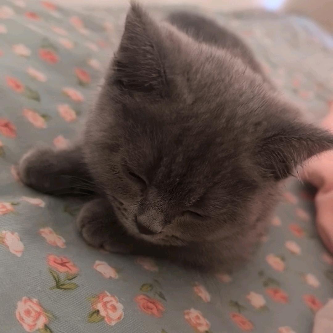 ❤