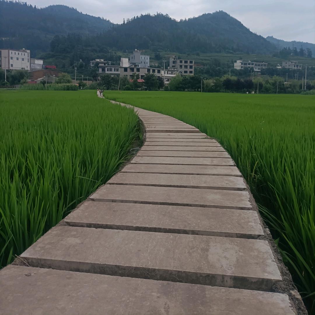 痛彻心扉