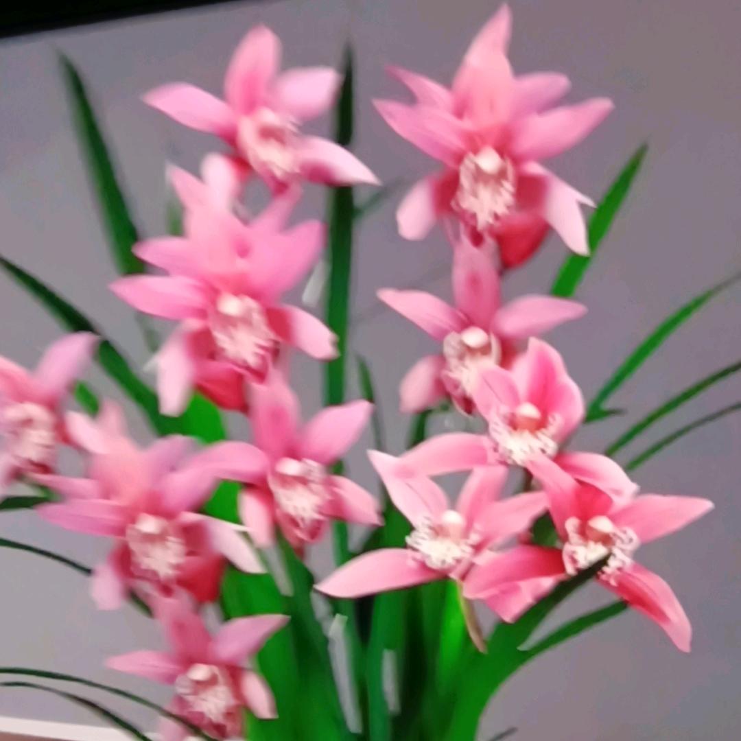 月月同学