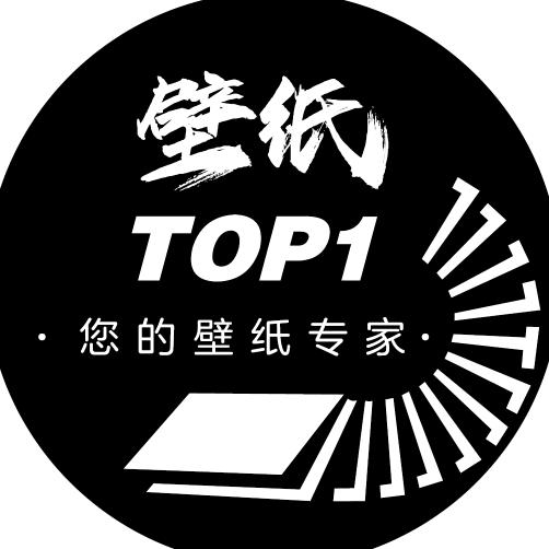 纸壁TOP1
